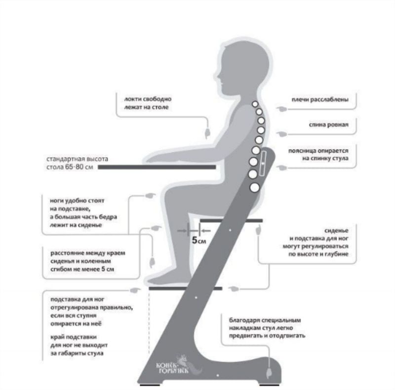Растущий стул как правильно отрегулировать